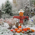 Early Autumn Snow Photograph by Brook Burling