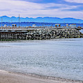 Edmonds Dock Photograph by Anamar Pictures Edmonds Dock Photograph by Anamar Pictures
