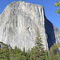El Capitan by Magnus Haellquist
