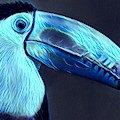 Electric Toucan Digital Art by Denise Railey Electric Toucan Digital Art by Denise Railey