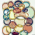 Elipse Digital Art by Cepiatone Fine Art Callie E Austin Elipse Digital Art by Cepiatone Fine Art Callie E Austin