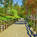 Equestrian And Hiking Path Iv Painterly by Linda Brody Equestrian And Hiking Path Iv Painterly by Linda Brody