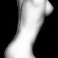Erica's Torso by Lindsay Garrett Erica's Torso by Lindsay Garrett