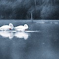 Evening Bath Photograph by Jaroslav Buna Evening Bath Photograph by Jaroslav Buna