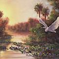 Everglades Sunset Painting by Lynne Pittard Everglades Sunset Painting by Lynne Pittard