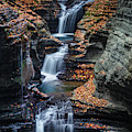 Every Teardrop Is A Waterfall by Evelina Kremsdorf Every Teardrop Is A Waterfall by Evelina Kremsdorf