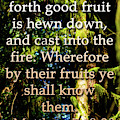 Every Tree by Tikvah's Hope