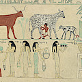 Facsimile of the painting on the inner back side of the sarcophagus of Aashyt by Charles K Wilkinson