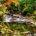 Fall Creek Photograph by Christina Rollo Fall Creek Photograph by Christina Rollo