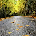 Fall Drive Photograph by Brian Eberly Fall Drive Photograph by Brian Eberly
