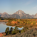 Fall in it's glory Photograph by Ronnie And Frances Howard