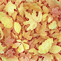 Fallen Leaves Painting by Lori Taylor Fallen Leaves Painting by Lori Taylor