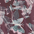 Fantasy Flutters by Jorgo Photography - Wall Art Gallery Fantasy Flutters by Jorgo Photography - Wall Art Gallery