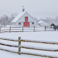 Farm in the Snow Photograph by Rob Davies Farm in the Snow Photograph by Rob Davies