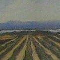 Farming By the Sea 2 by Maria Hunt