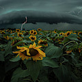 Fear Inoculum by Aaron J Groen Fear Inoculum by Aaron J Groen