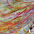 Feathers Digital Art by Jimmy Williams Feathers Digital Art by Jimmy Williams