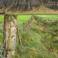 Fence of Iceland Photograph by David Letts Fence of Iceland Photograph by David Letts