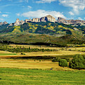 Field Of Gold Photograph by Johnny Boyd Field Of Gold Photograph by Johnny Boyd