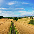 Field With Ripe Wheat And A Country Road Photograph by Science Photo Library