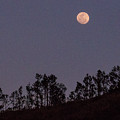 Full Moon Over Fiji Photograph by Leslie Struxness Full Moon Over Fiji Photograph by Leslie Struxness