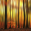 Firewall Photograph by Philippe Sainte-Laudy Firewall Photograph by Philippe Sainte-Laudy