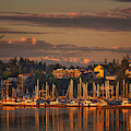 First Light by Thomas Ashcraft First Light by Thomas Ashcraft