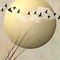 Flying West by Hal Halli