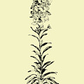 Floating Flower I by Naxart Studio Floating Flower I by Naxart Studio