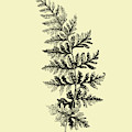 Floating Leaf Branch I by Naxart Studio Floating Leaf Branch I by Naxart Studio