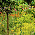 Florals in Yellow by E Faithe Lester
