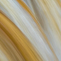 Flow by Brad Bellisle Flow by Brad Bellisle