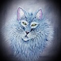 Fluff The Elegant Cat by Angela Whitehouse Fluff The Elegant Cat by Angela Whitehouse