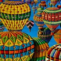 Flying Colours by Donna L Byers Flying Colours by Donna L Byers
