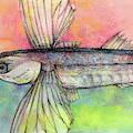Flying Fish from Barbados by AnneMarie Welsh