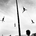 Flying Pole Dance Metal Print by Allan Grant - Fine Art America