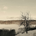 Foggy Mountain I by Alicia Ludwig Foggy Mountain I by Alicia Ludwig