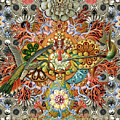 Forms of Nature #1 by Kenneth Rougeau Forms of Nature #1 by Kenneth Rougeau