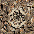 Forms of Nature #16 by Kenneth Rougeau Forms of Nature #16 by Kenneth Rougeau