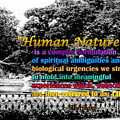 Fountain with Quote from Dreams of the Immortal City Savannah Photograph by Aberjhani Fountain with Quote from Dreams of the Immortal City Savannah Photograph by Aberjhani