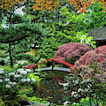 Fragment of Tilford Gardens Park Photograph by Alex Lyubar Fragment of Tilford Gardens Park Photograph by Alex Lyubar