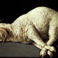 Francisco de Zurbaran / 'Agnus Dei -The Lamb of God-', 1635-1640, Spanish School. Painting by Francisco de Zurbaran -c 1598-1664- Francisco de Zurbaran / 'Agnus Dei -The Lamb of God-', 1635-1640, Spanish School. Painting by Francisco de Zurbaran -c 1598-1664-