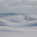Frozen winter hills Photograph by Tatiana Travelways Frozen winter hills Photograph by Tatiana Travelways