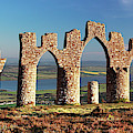 Fyrish Monument - Alness Photograph by Grant Glendinning Fyrish Monument - Alness Photograph by Grant Glendinning