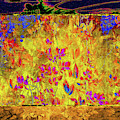 Garden of Grace and Resilience Digital Art by Aberjhani Garden of Grace and Resilience Digital Art by Aberjhani