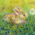 Gentle Wish Painting by Hailey E Herrera Gentle Wish Painting by Hailey E Herrera