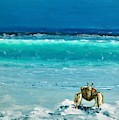 Ghost Crab by Paul Emig Ghost Crab by Paul Emig
