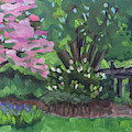 Glorious Dogwood by Tara D Kemp Glorious Dogwood by Tara D Kemp