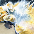 Glorious Floof Painting by Dora Hathazi Mendes Glorious Floof Painting by Dora Hathazi Mendes