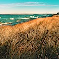Golden Grass On The Lake Photograph by Owen Weber